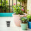 50 maceta hidropónica plástico con red para de plantas 6