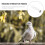 4Pcs Portable Plastic Pet for Pigeon Birds Home Use 10