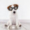lunettes de pour chien avec protection UV et réglable 5
