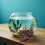 4 pièces - fond terrarium en avec abri 5