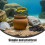 volcaniques pour aquarium décorations plantes 5