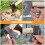 15pcs Hammer Wedges Wood Splitting for Handle Replacement 7
