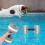 ceramic tea infuser set with leaf filter for household use 10