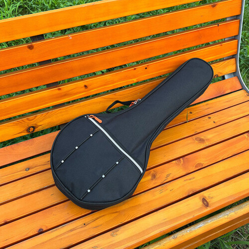 Banjo Hard Case Portable 4 String Musical Instrument Storage Bag 2