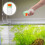 distributore con alimentazione 4