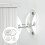3 set ancoraggi per con cinghie sicurezza 4