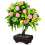 Albero Bonsai Artificiale Realistico 25 Cm Verde In Vaso 1