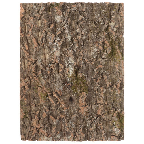sottofondo in per rettili, accessorio decorativo 1