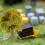 verdi miniatura per modellismo, diorami, e sabbia 4