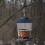 Blue Hanging Bird Feeder Stretchable Pc+pp Bird Food Storage Tray 10