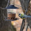 Blue Hanging Bird Feeder Stretchable Pc+pp Bird Food Storage Tray 11