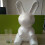 Froth Rabbit para Artesanato DIY e Decoração de Flores 6