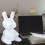 Froth Rabbit para Artesanato DIY e Decoração de Flores 5