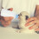 3 mamadeiras para pets com mamilos, para cães e 6