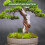 kunstmatige mini boomplanten van plastic voor huismodeldecoratie 8