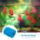 2Stk Filter Wiederverwendbare Pool Pumpe Filter 10