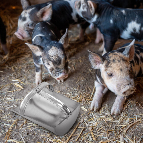 Multifunzionale per Alimentazione ( ) 1