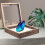 set espositiva insetti in legno resistente 8