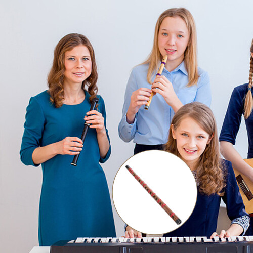 inleidende chinees model beginners E- draagbaar 1