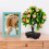 albero bonsai artificiale 25 cm in vaso verde 4
