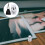 cerâmica para cinzas de pets, urna crematória 3