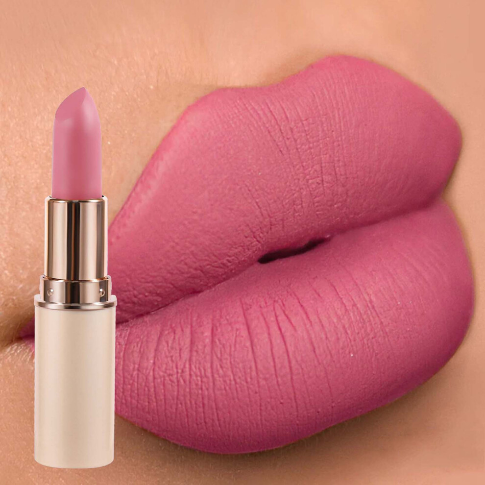 (B) Non Stick Cup Matte Lipstick  Velvet Lipstick Long Lasting Matte Lip Gloss Lipstick 3.2ml