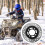 disco de para pit bike e atv, traseiro, 50cc-125cc 3