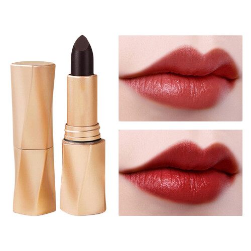 (E) Lipstick Matte Waterproof Paste Color Rendering Temperament Makeup Holding Lipstick 2