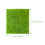 2Stk Micro Landscape Gras Moos Simulation 7