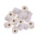 Tank Ringe Ringe Ringe Media Tank Bio Aquarium 1