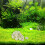 Tank Ringe Ringe Ringe Media Tank Bio Aquarium 11