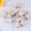 Tank Ringe Ringe Ringe Media Tank Bio Aquarium 4