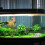 Tank Ringe Ringe Ringe Media Tank Bio Aquarium 10