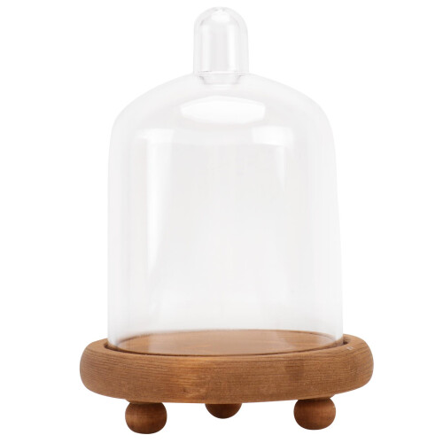 glasvitrine glockenform mit deckel, display-container für blumen 1