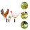 -pack hühner-stakes acryl für garten und 6