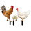 -pack hühner-stakes acryl für garten und 3