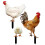 -pack hühner-stakes acryl für garten und 7