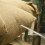 Multi-Functional Stainless Steel Rice Grain Sampling Tool For Farm 10
