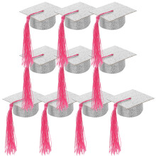 10St Afstudeerhoed Zilverkleurige Party Favor Geschenken