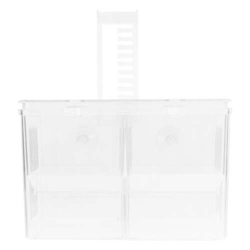 Box Fischbecken Brutbox Betta Trennwand