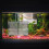 Box Fischbecken Brutbox Betta Trennwand 4