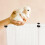 1Ensemble Clôture Résine Pour Hamster 9