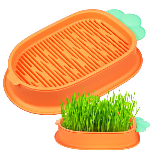 2 pflanzbox karottenform für katzengras und katzenminze