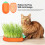 2 pflanzbox karottenform für katzengras und katzenminze 11