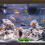 1Mini Digitaal Aquarium Thermometer Waterdicht Vis Thermometer 5