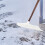 Snow Ice , Kunststoff Schneebesen Mit Stange 7