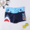 Mens Beach Casual Shorts Quick Dry Multi 1set 11