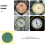 10 Sheets Adhesive Pressure Gauge Stickers Decals Indicator 8