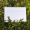 50 Pcs Poly Mailers Creative Paper Envelope Office 10