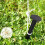 50 Pcs Pegs For Membrane Plastic Nails Stakes Tent 10
